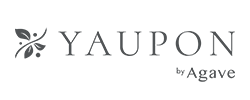 Yaupon by Agave